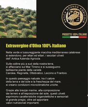 Carica l&#39;immagine nel visualizzatore di Gallery, Olio Extra Vergine 250ml
